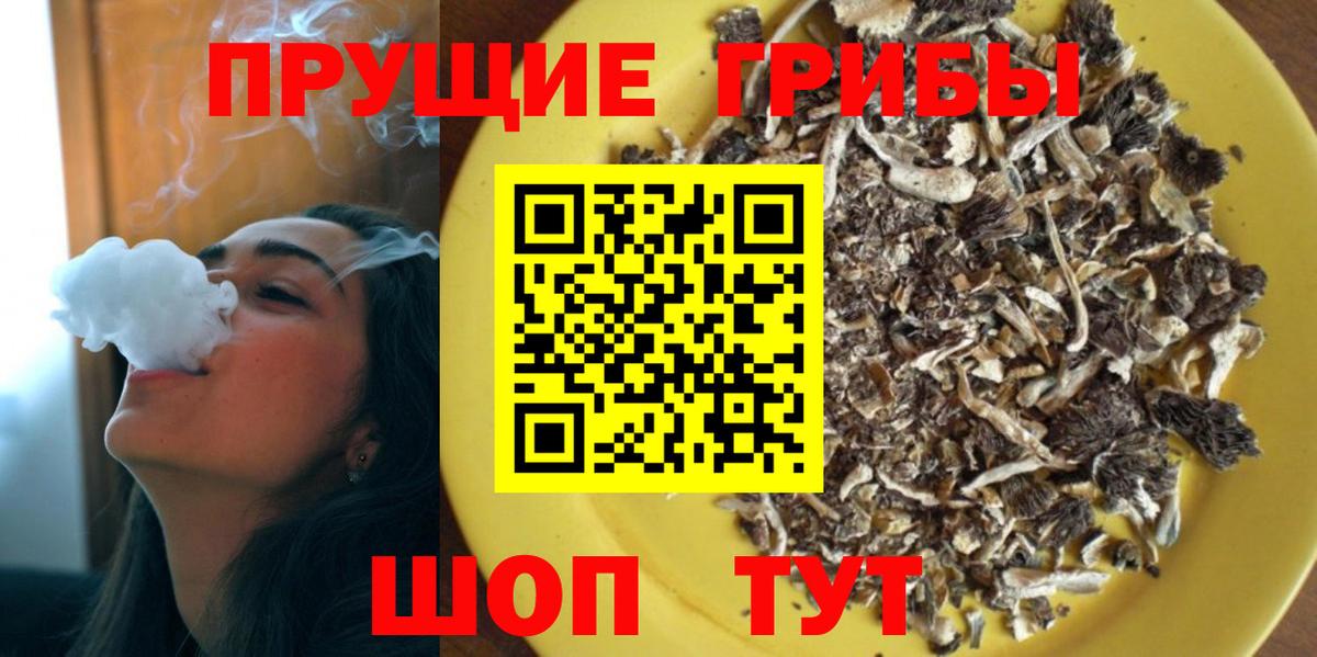 Галлюциногенные грибы мицелий  Вход с VPN  Чернушка 