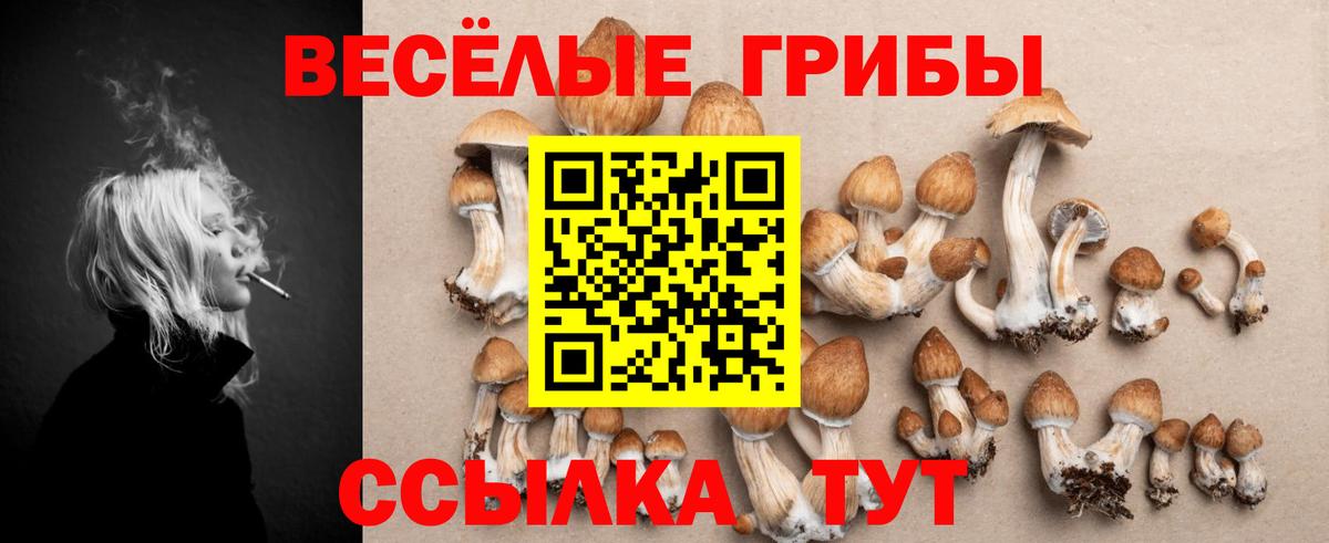 Галлюциногенные грибы мицелий Чернушка